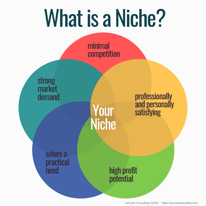 Effective brand strategy chart defining "what is a niche"