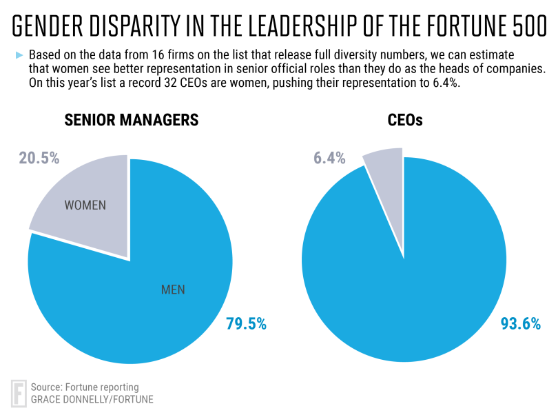 inclusion and diversity in marketing—pie chart showing gender disparity in fortune 500